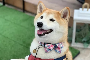 天国ポスト（ミニサイズ）